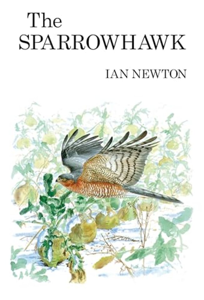 The Sparrowhawk