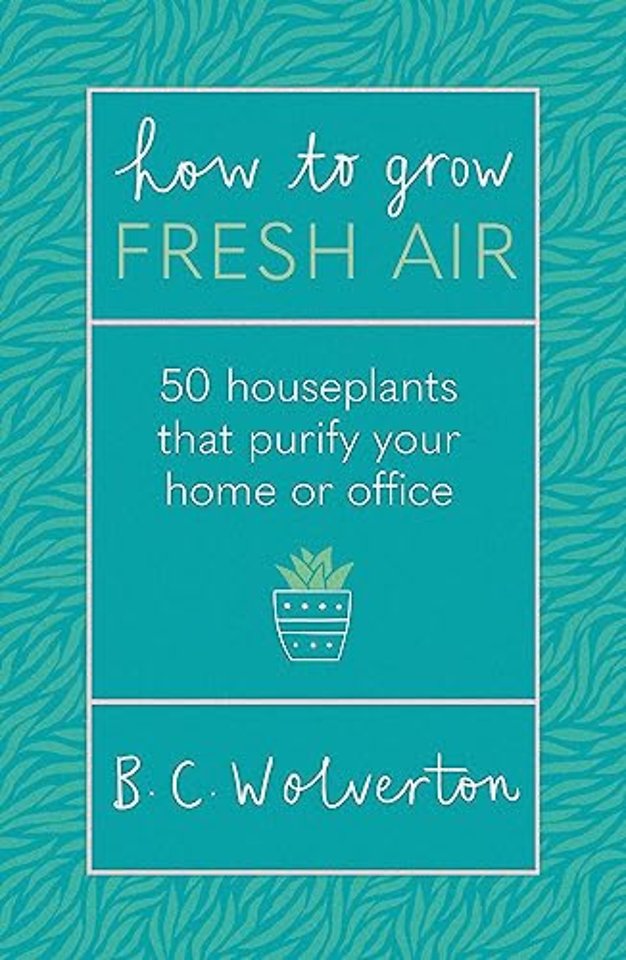 How To Grow Fresh Air