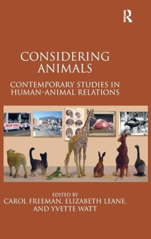 Considering Animals
