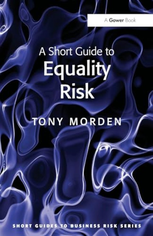 Short Guide to Equality Risk