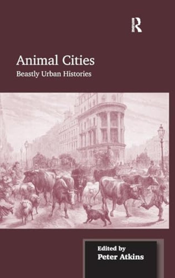 Animal Cities