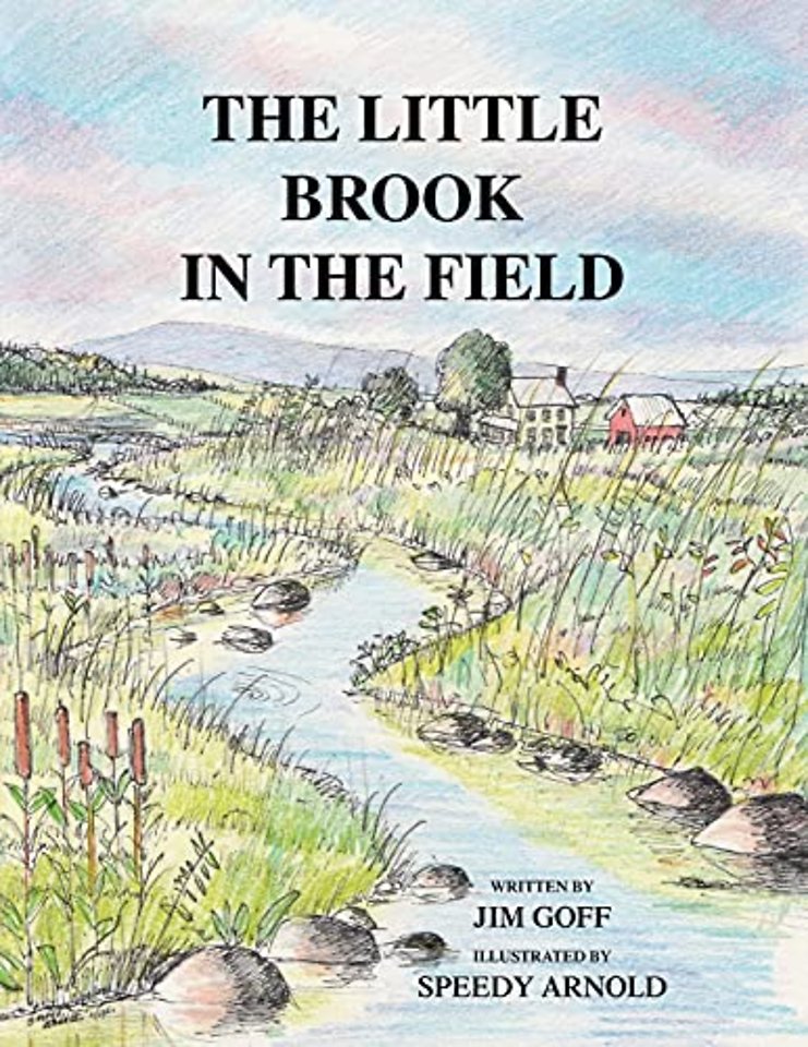 The Little Brook in the Field