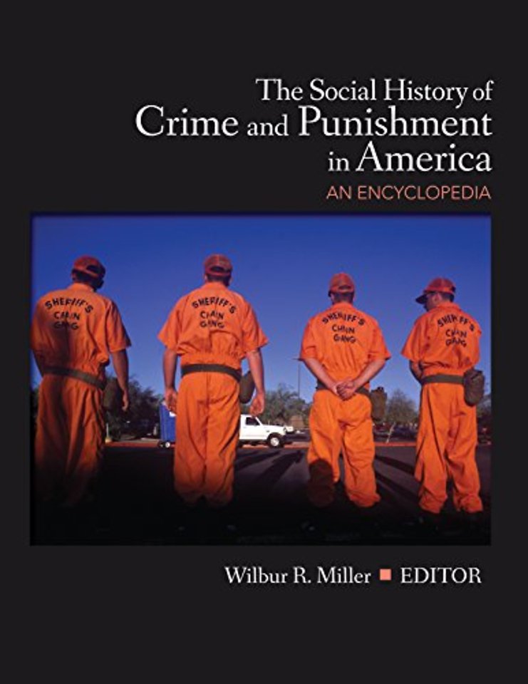 The Social History of Crime and Punishment in America
