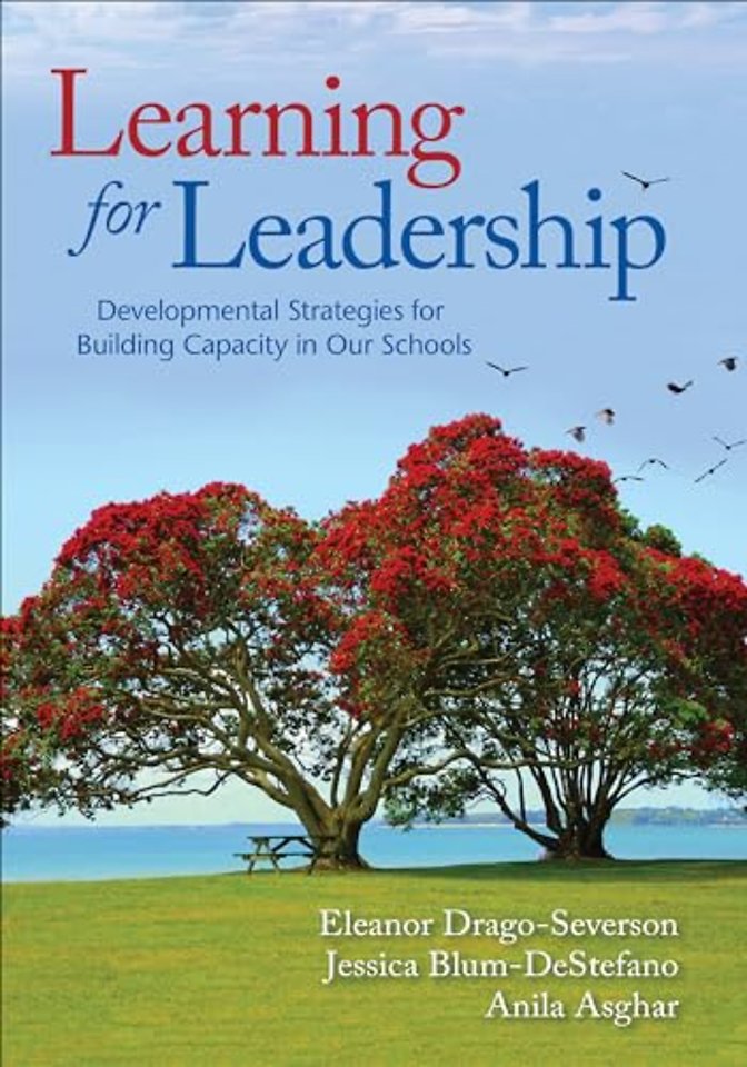 Learning for Leadership: Developmental Strategies for Building Capacity in Our Schools