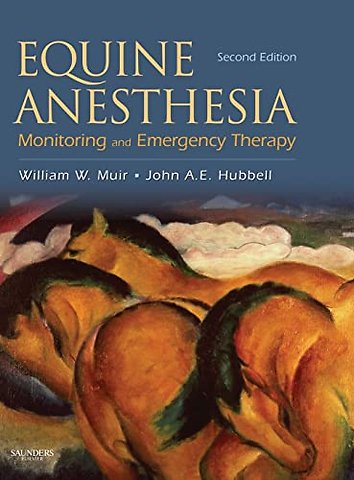 Equine Anesthesia