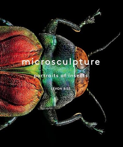 Microsculpture