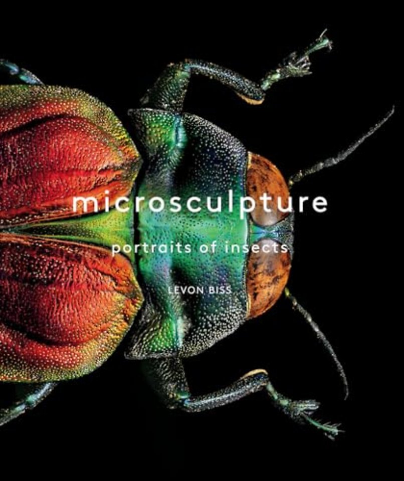 Microsculpture