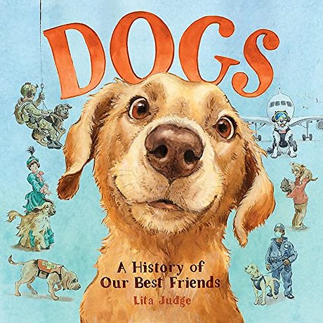 Dogs