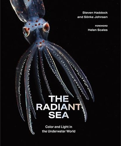 The Radiant Sea