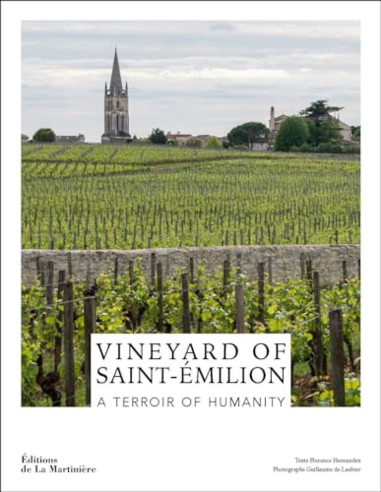Vineyard of Saint-Emilion