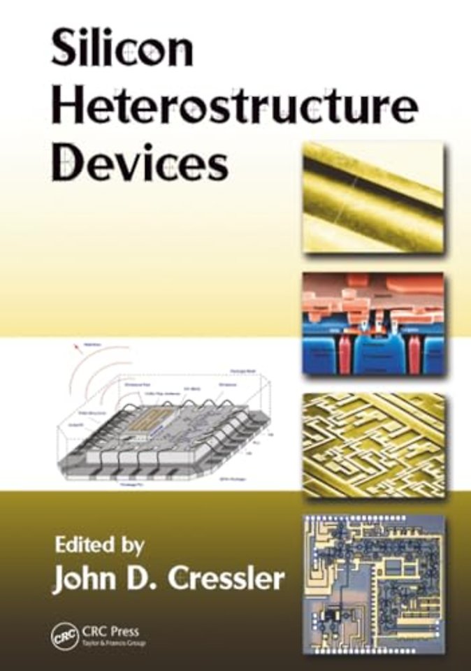 Silicon Heterostructure Devices