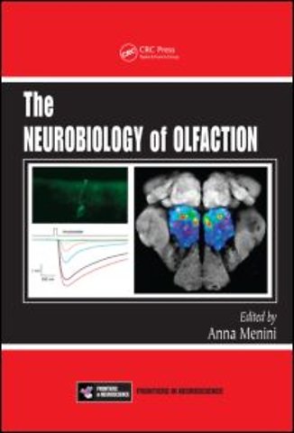 Neurobiology of Olfaction