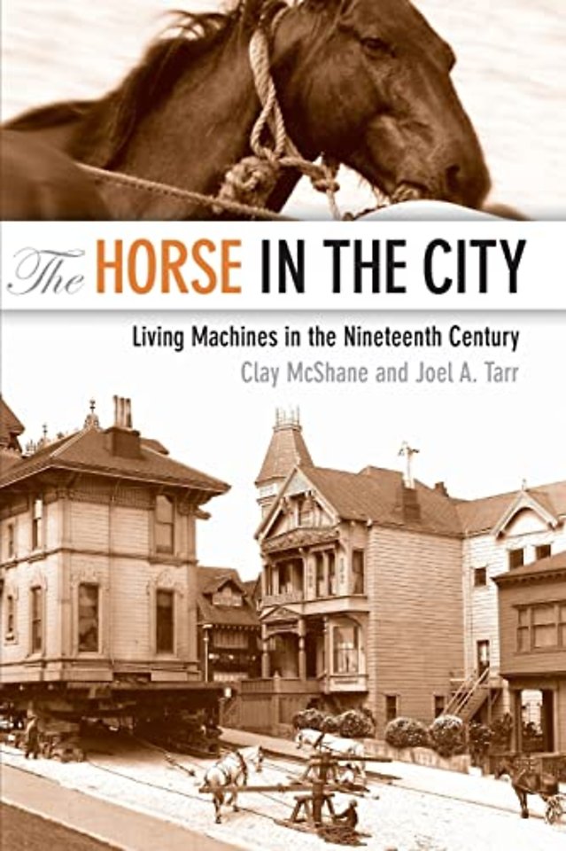 The Horse in the City