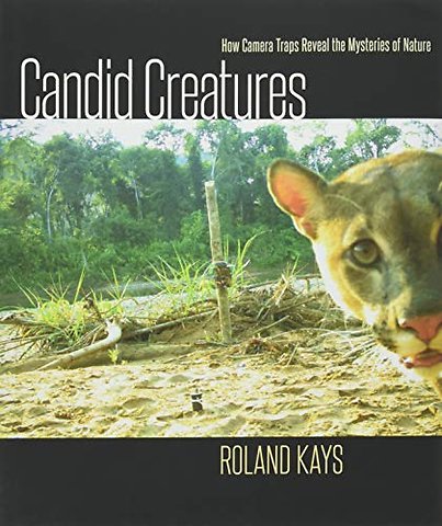 Candid Creatures