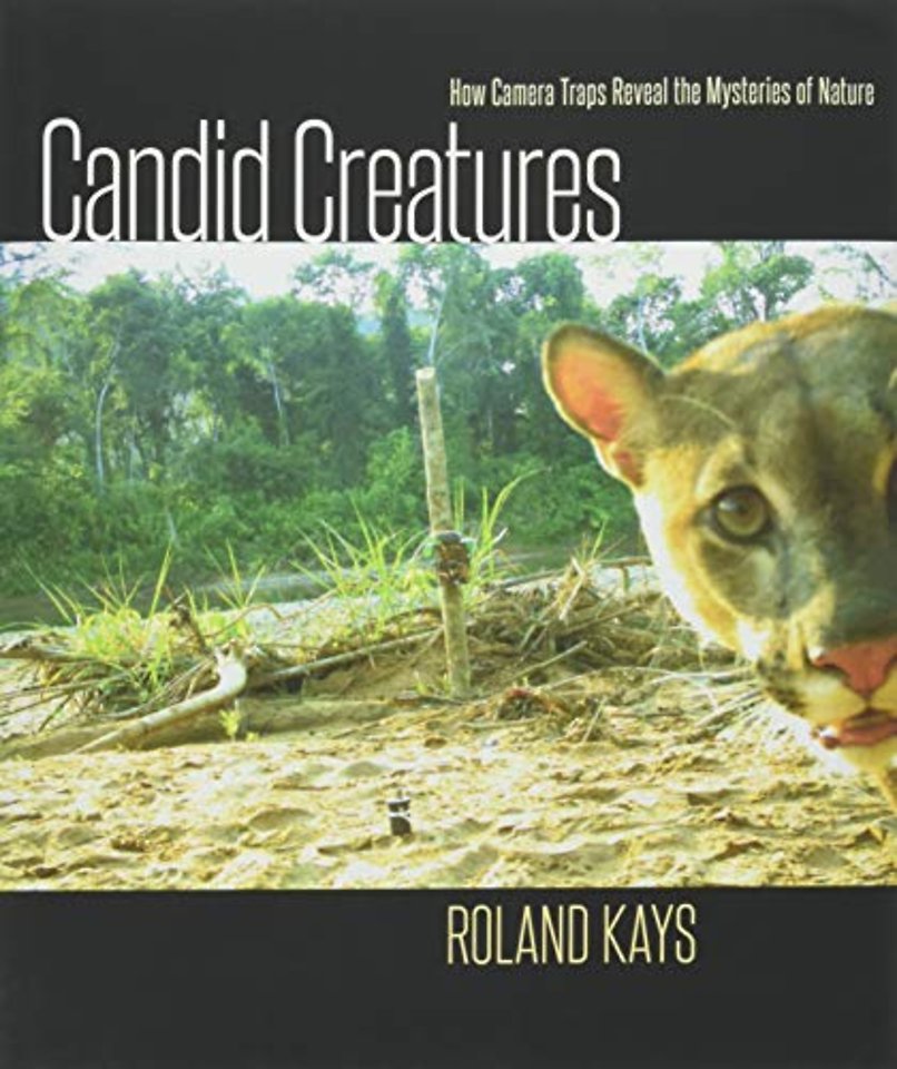Candid Creatures