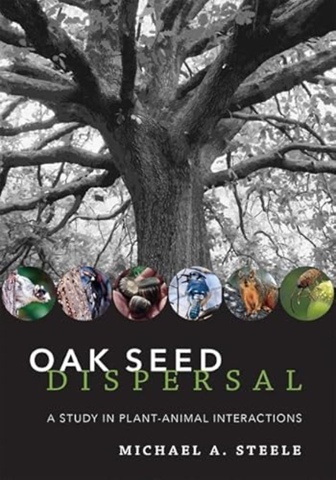 Oak Seed Dispersal – A Study in Plant–Animal Interactions