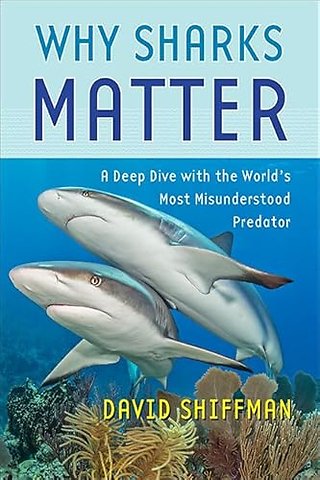 Why Sharks Matter