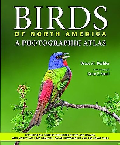 Birds of North America