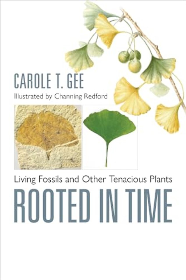 Rooted in Time – Living Fossils and Other Tenacious Plants
