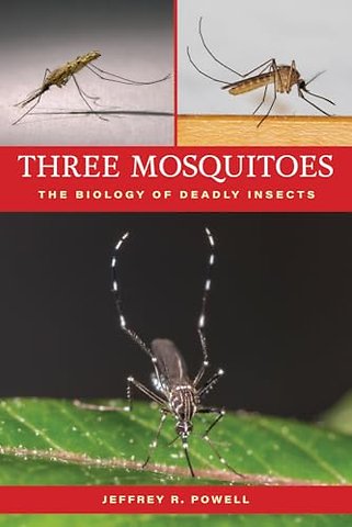 Three Mosquitoes