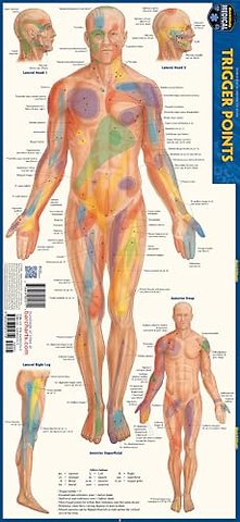 Trigger points