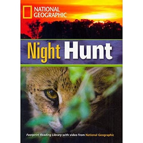 Night Hunt