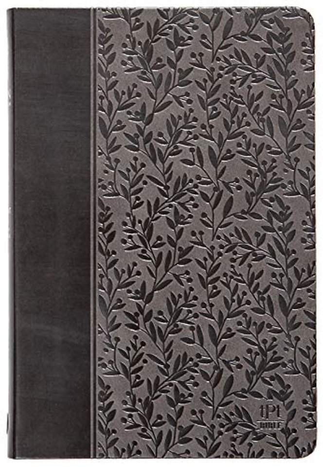 The Passion Translation New Testament with Psalms, Proverbs and Song of Songs (2020 Edn) Grey Leather