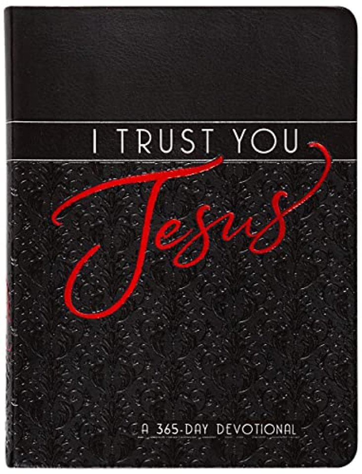 I Trust You Jesus