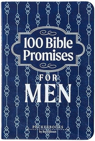 100 Bible Promises for Men