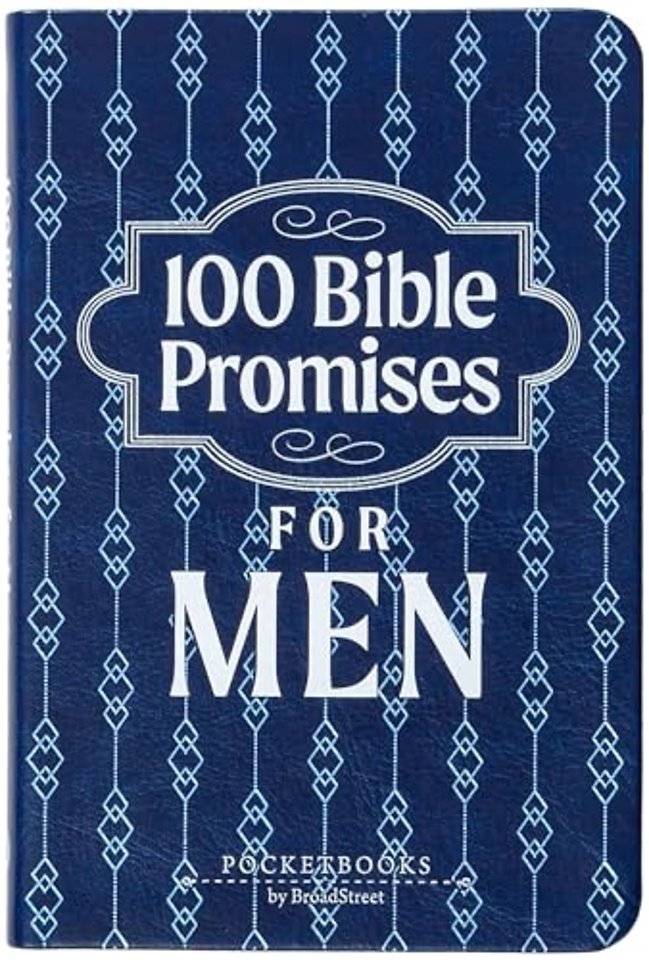100 Bible Promises for Men