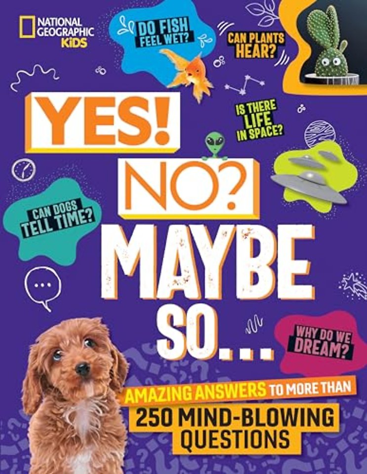 Yes! No? Maybe So...
