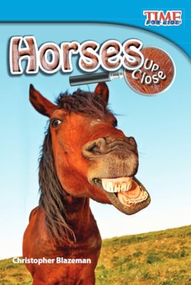 Horses Up Close
