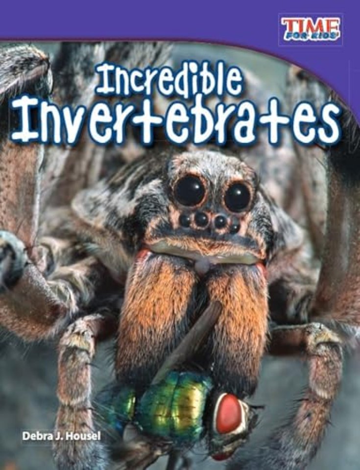 Incredible Invertebrates