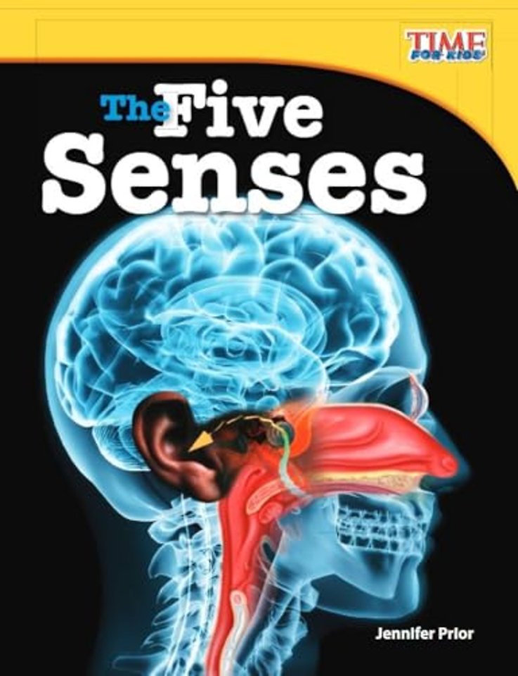 The Five Senses