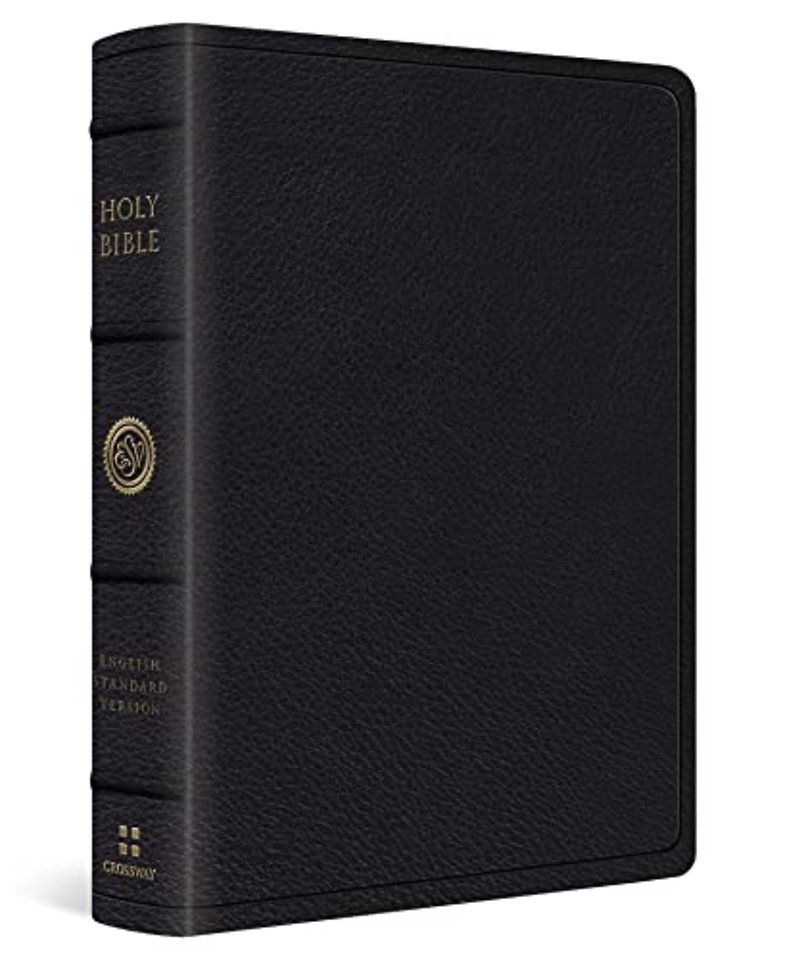 ESV Wide Margin Reference Bible (Black)