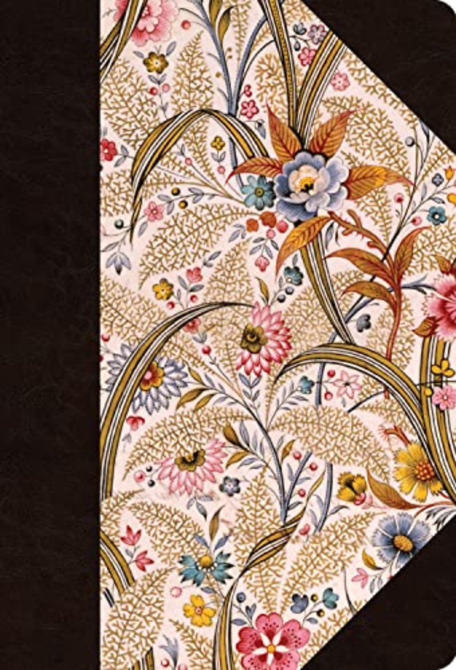 ESV Large Print Compact Bible (HC S