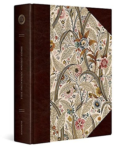ESV Single Column Journaling Bible, Large Print