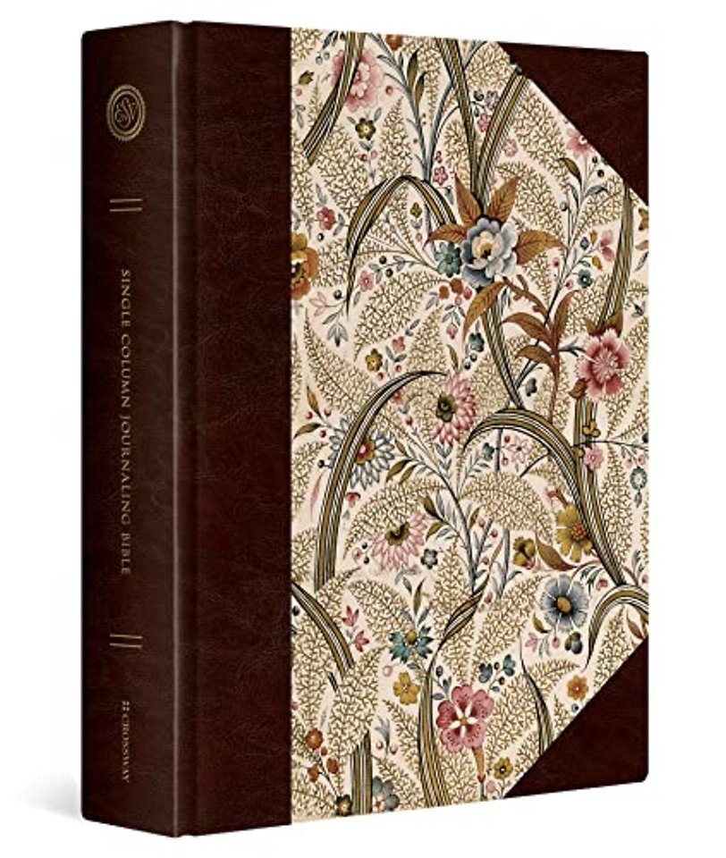 ESV Single Column Journaling Bible, Large Print