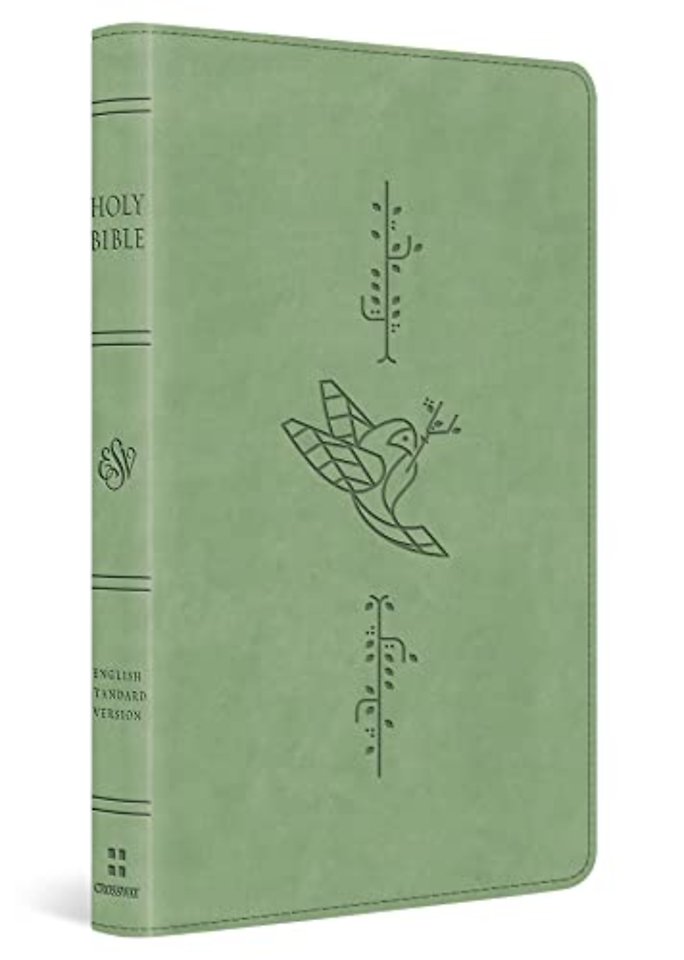 ESV Kid`s Bible, Thinline (TruTone, Bird of the Air Design)