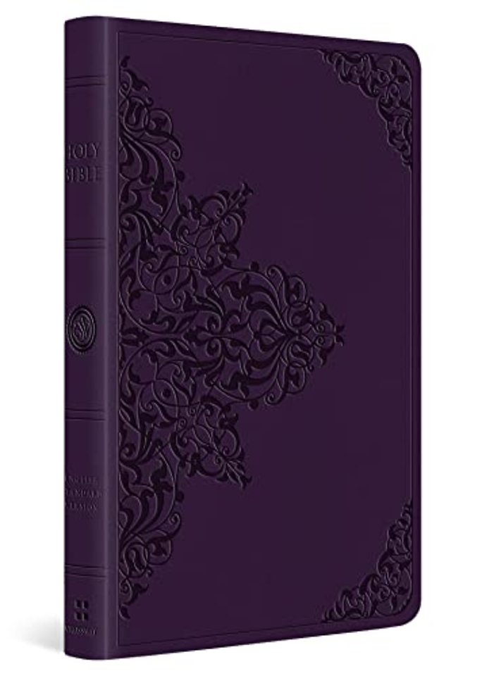 ESV Large Print Value Thinline Bible