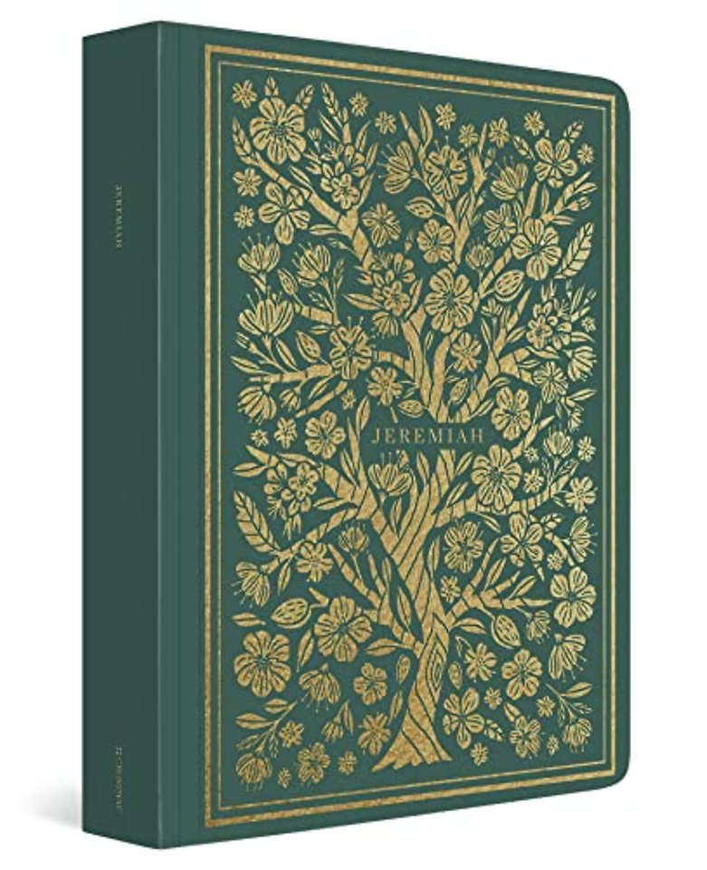 ESV Illuminated Scripture Journal: Jeremiah – Jeremiah