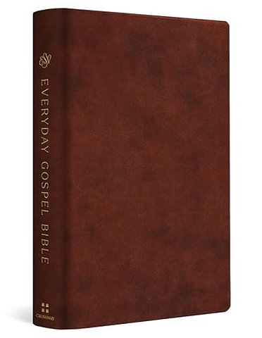 ESV Everyday Gospel Bible