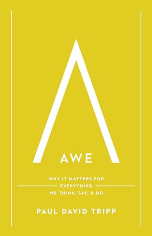 Awe – Why It Matters for Everything We Think, Say, and Do (with Study Questions)