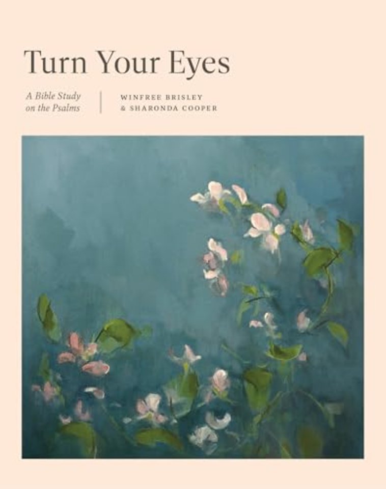 Turn Your Eyes – A Bible Study on the Psalms