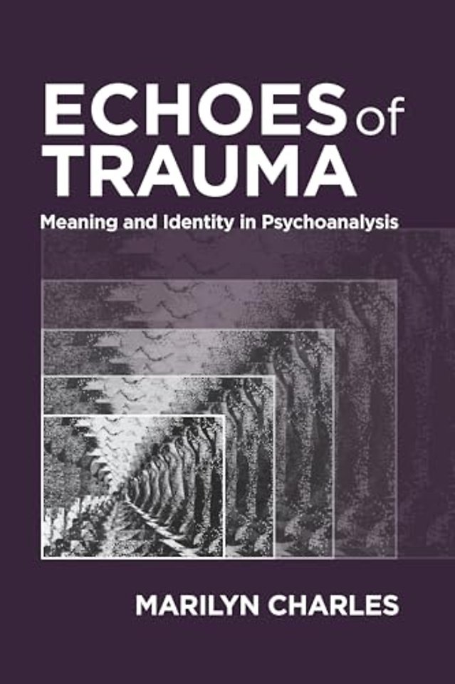 Echoes of Trauma – Meaning and Identity in Psychoanalysis