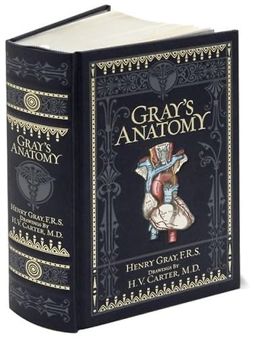 Gray's Anatomy