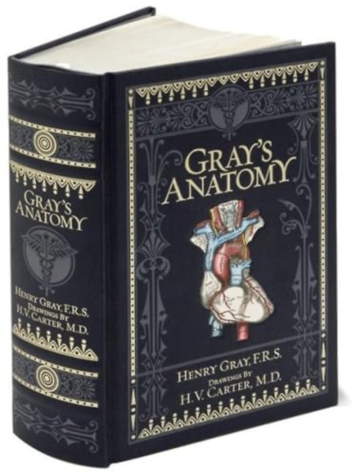 Gray's Anatomy