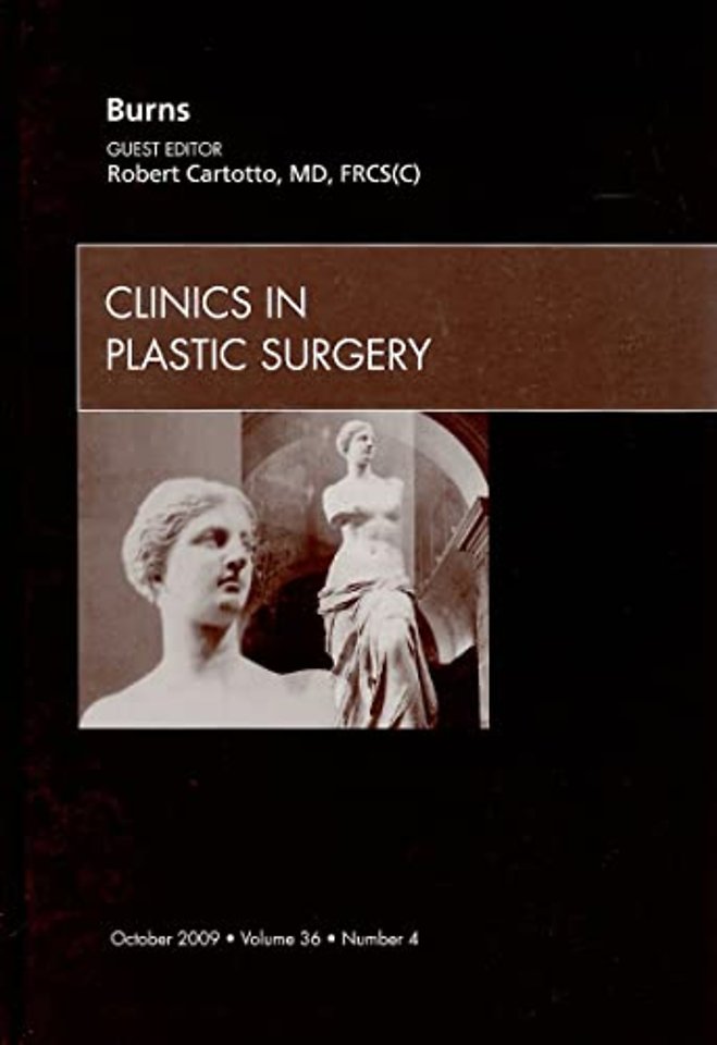 Burns, An Issue of Clinics in Plastic Surgery