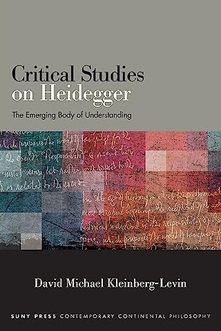 Critical Studies on Heidegger