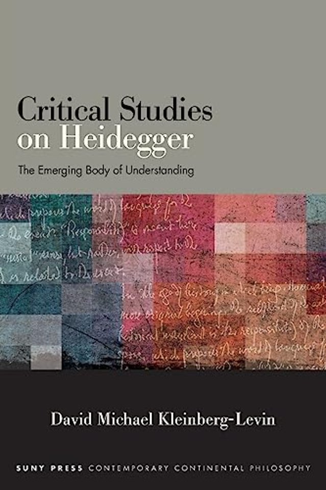 Critical Studies on Heidegger